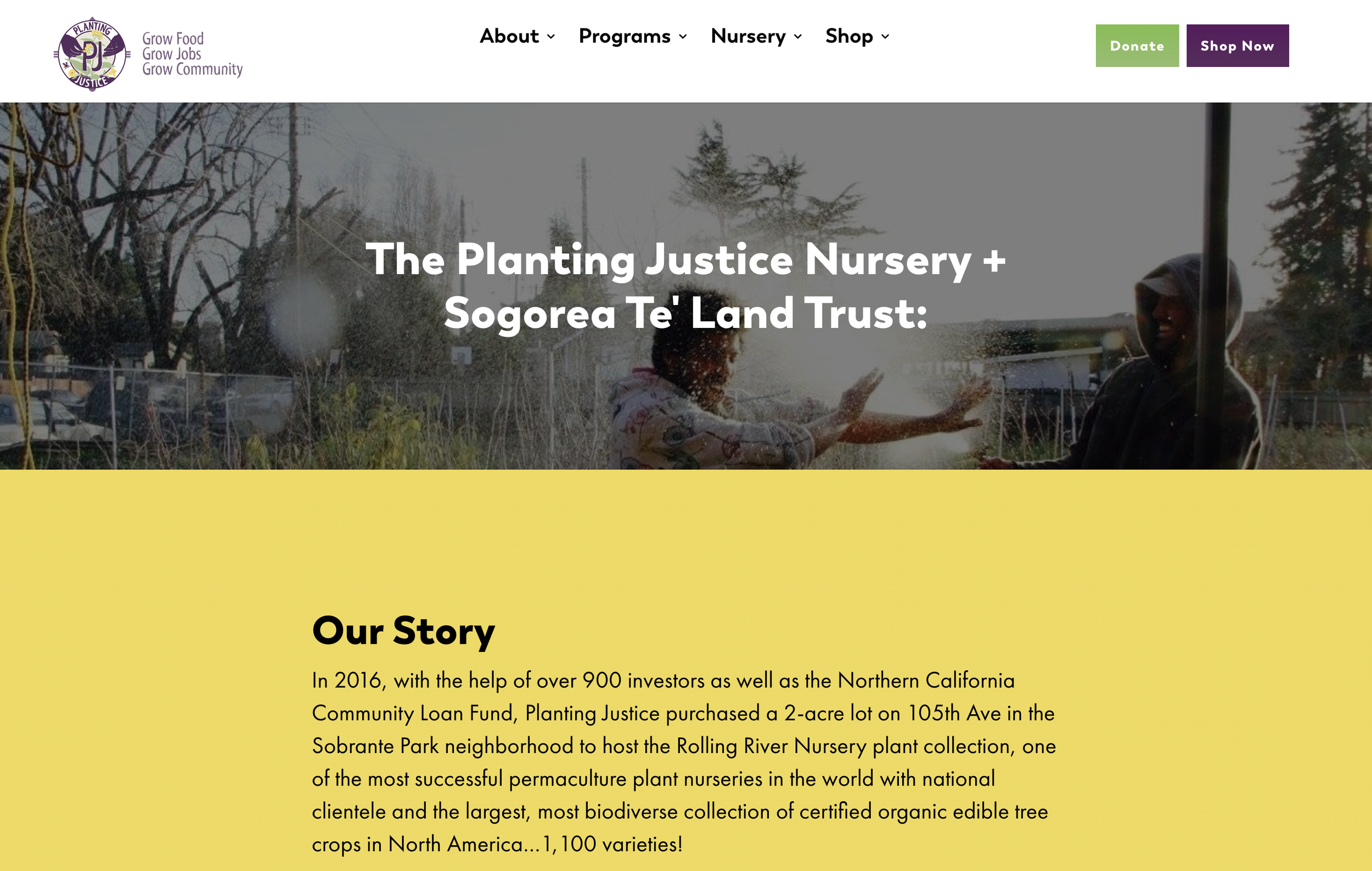 Move Beyond Land Acknowledgements to Action Plans for Support