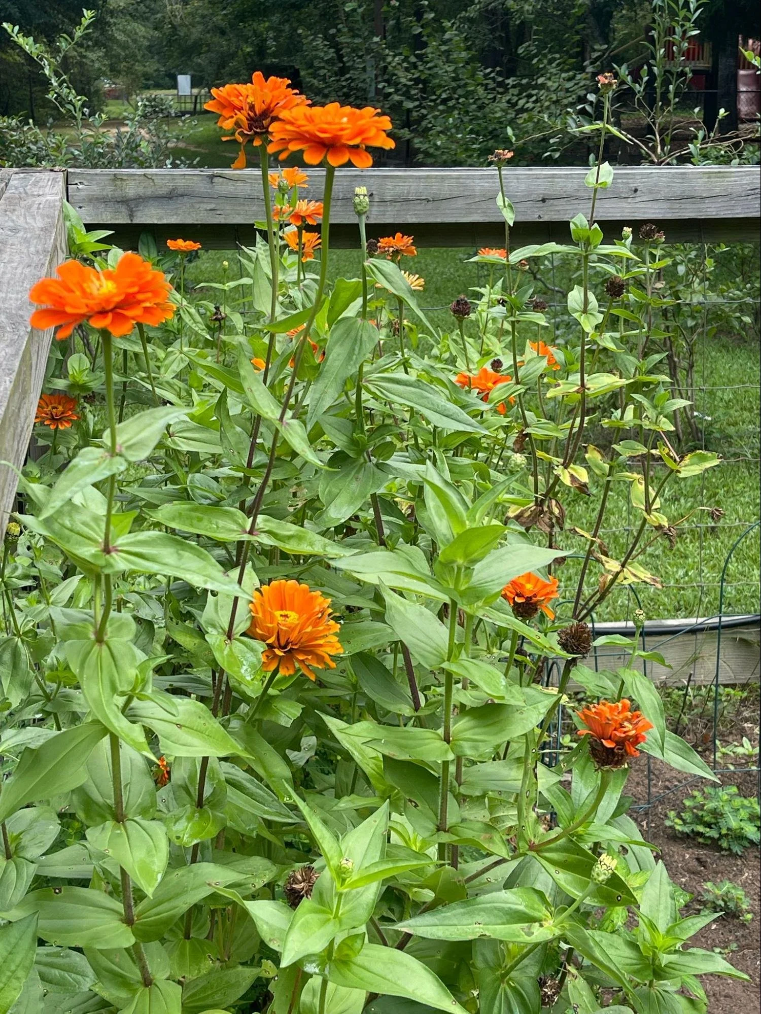 image1.jpg