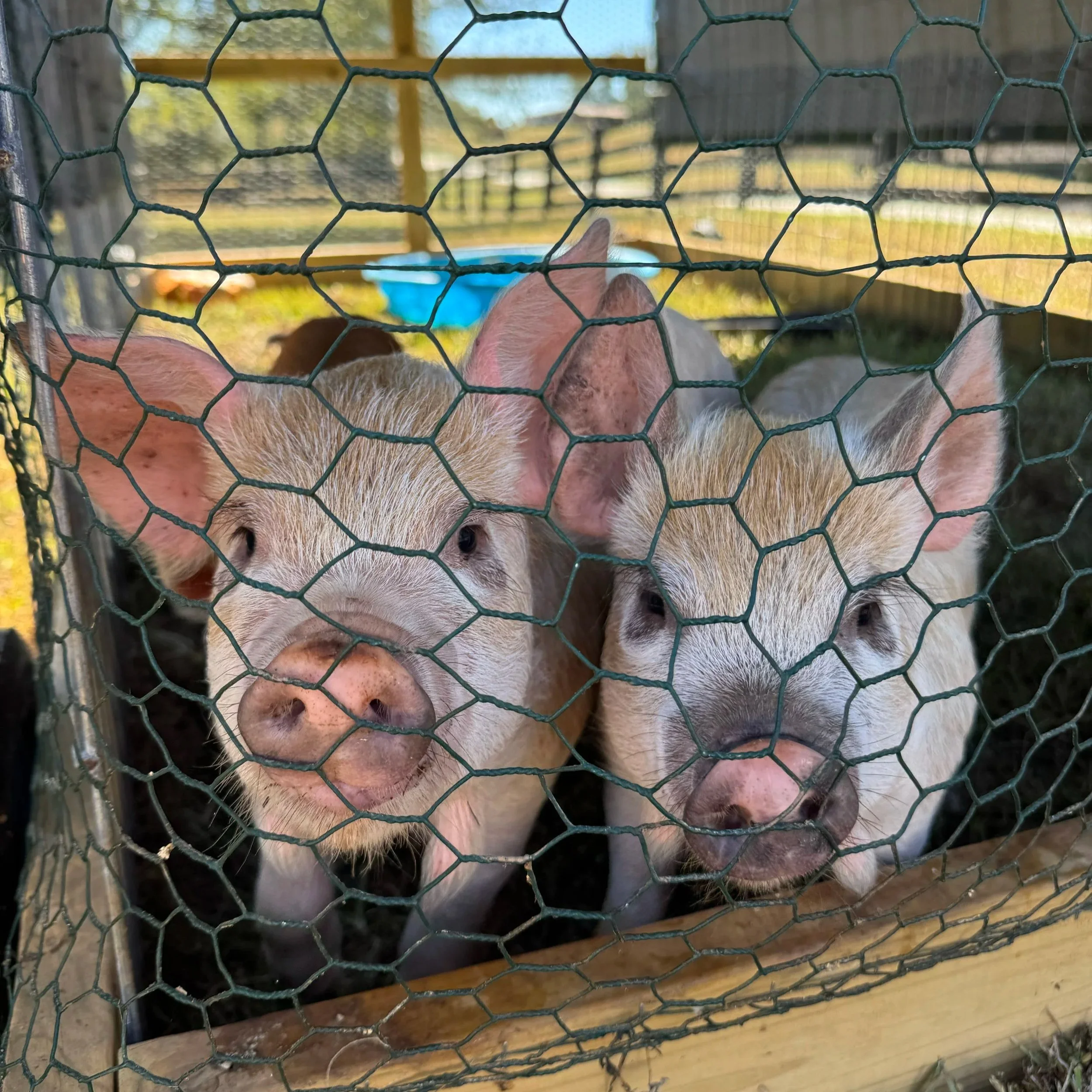 Chatt. Hills &amp; Palmetto Community Conversation #1