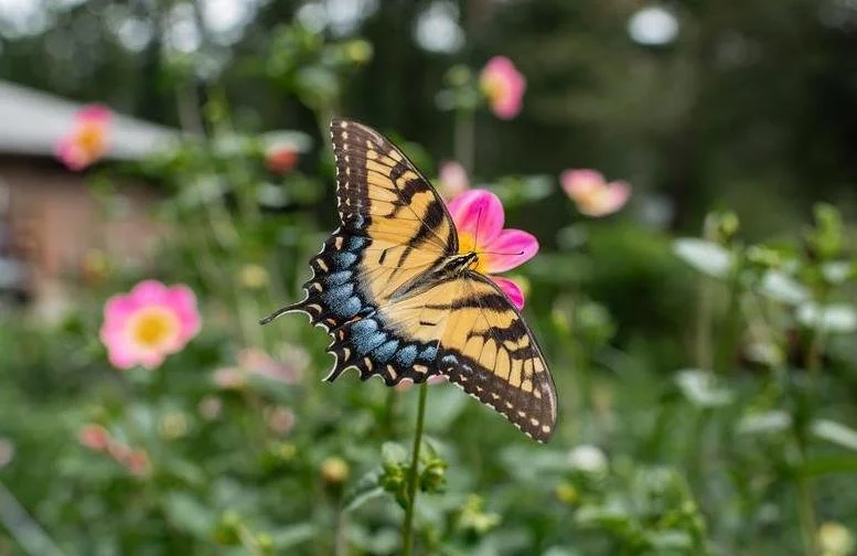 Gardening for Pollinators