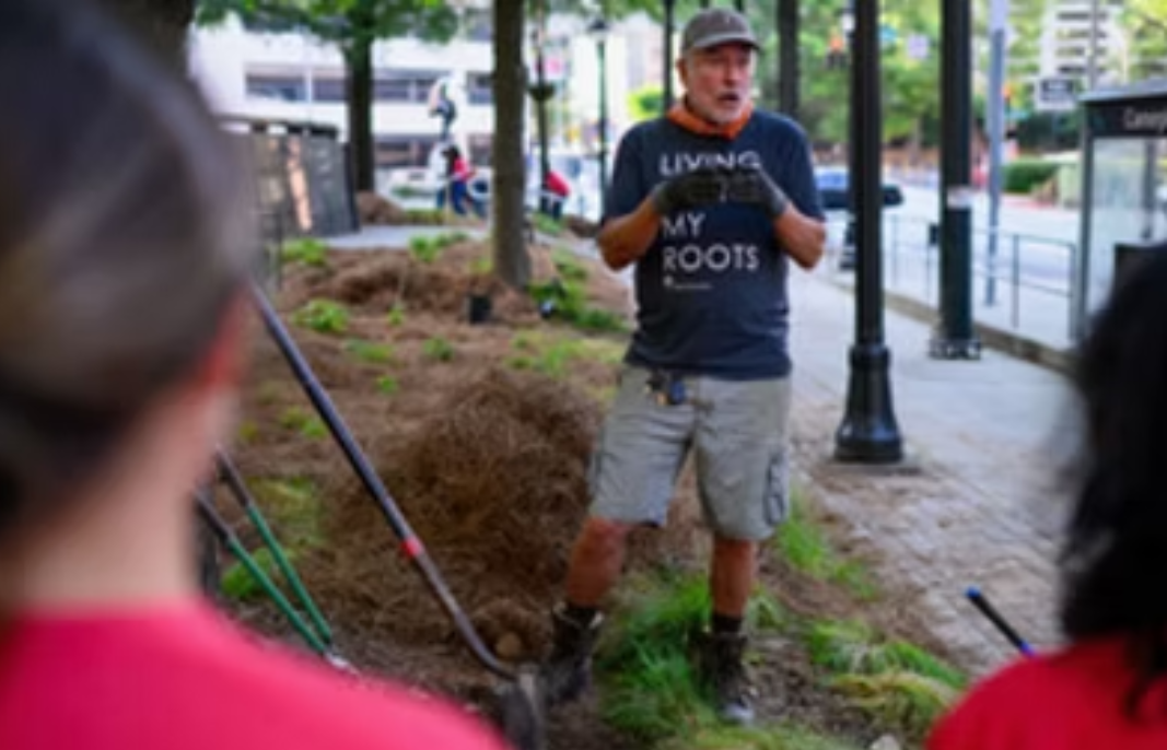 Downtown Native Plant Wellness Walk: Kindred Lane &amp; Shades of Green Permaculture