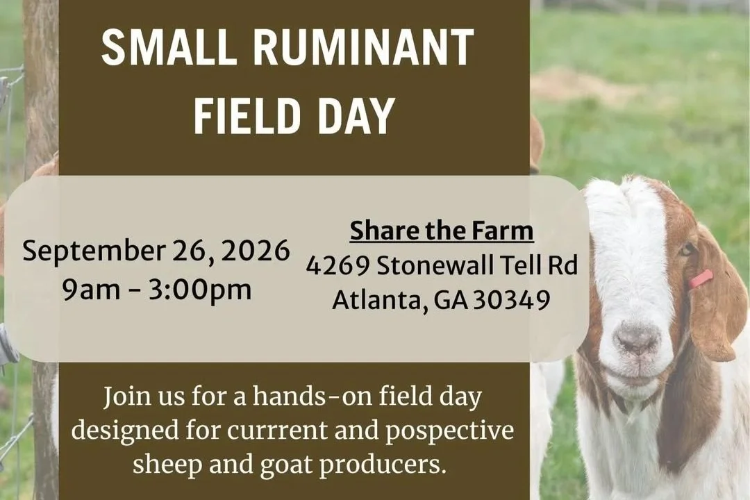 Small Ruminant Field Day