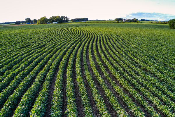 Farmer Business Plan Workshop