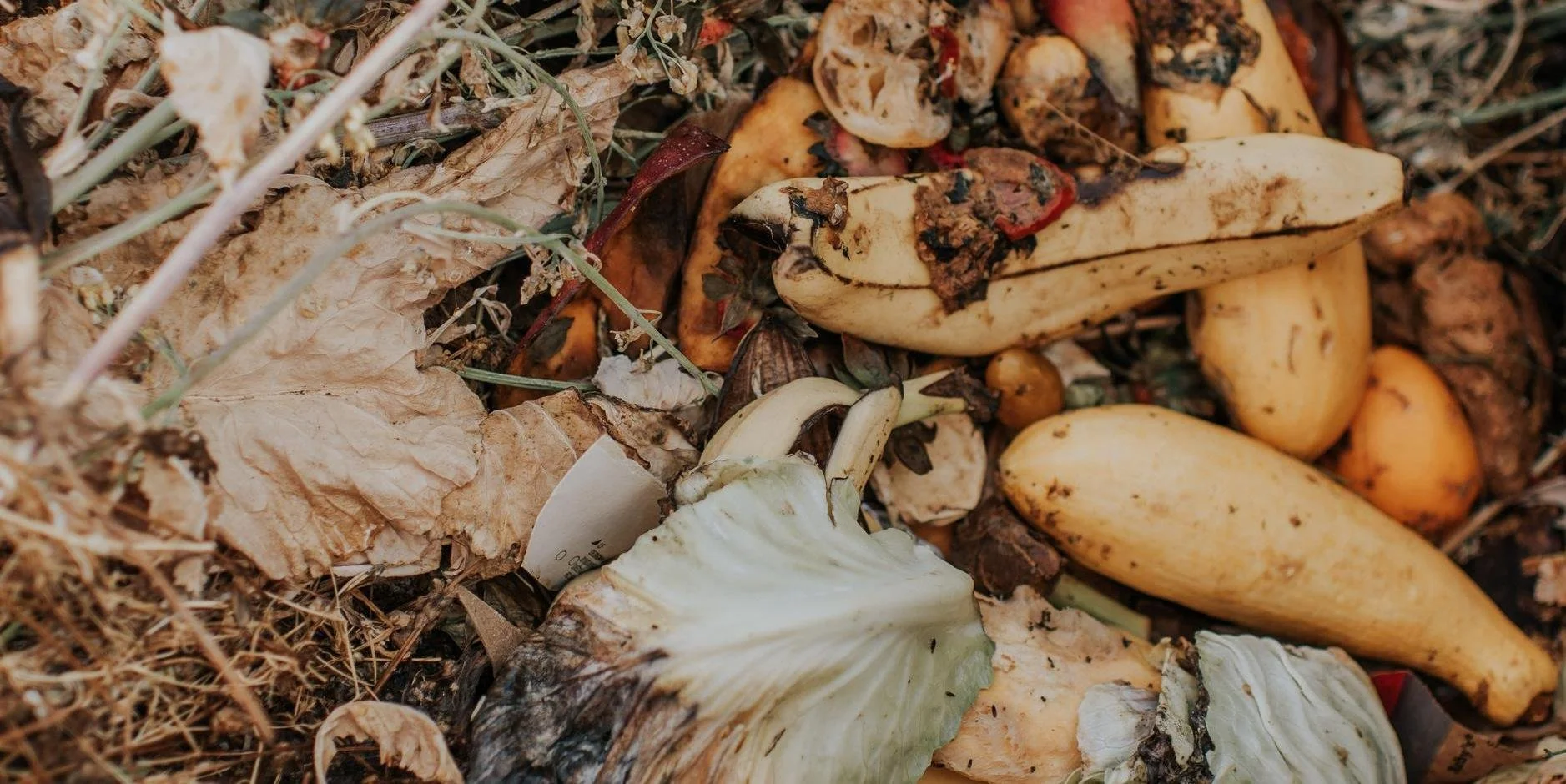In Depth Compost Process and Material Use Training for Growers