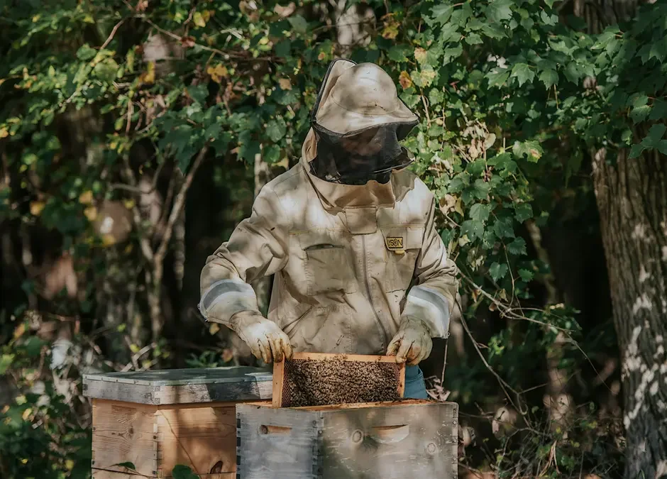 Intro to Beekeeping