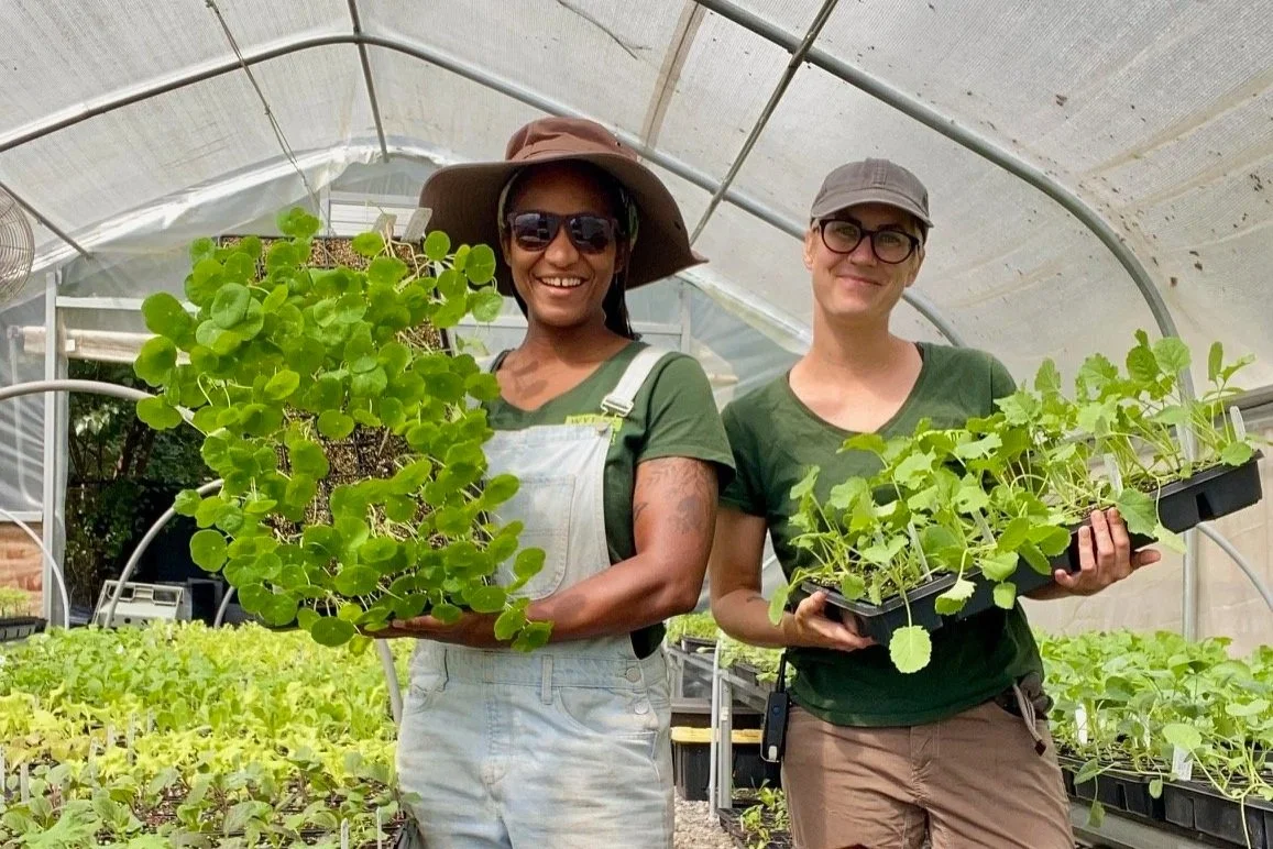 Herb Gardening for All: Fall Gardening Edition