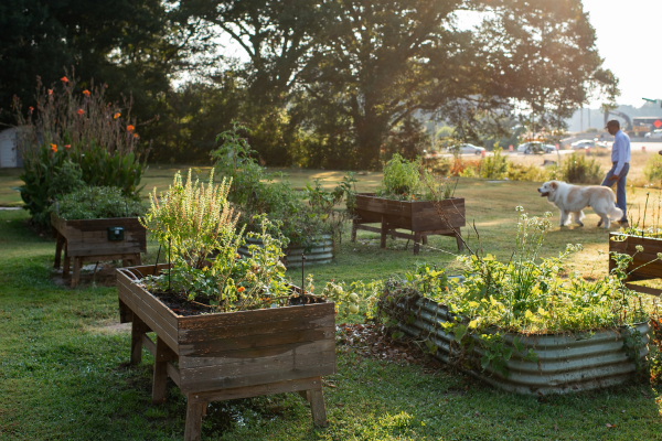 Plant. Eat. Repeat. at E.M.B.A.R.C. Community Youth Farm