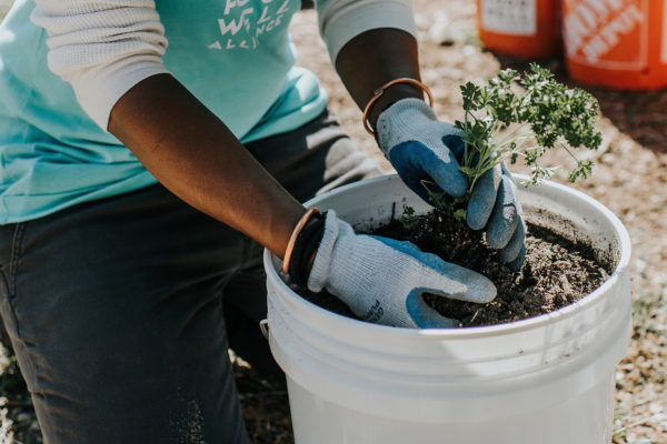 Plant. Eat. Repeat. at Community Garden of Jonesboro