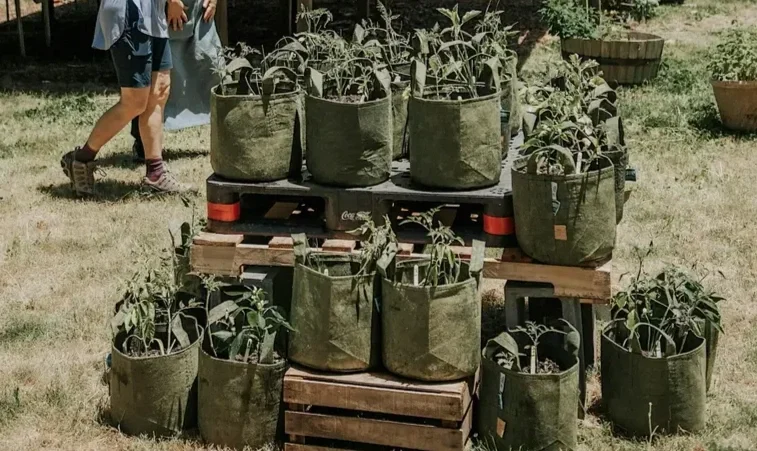 Plant. Eat. Repeat. at North Cobb Regional Library Community Garden
