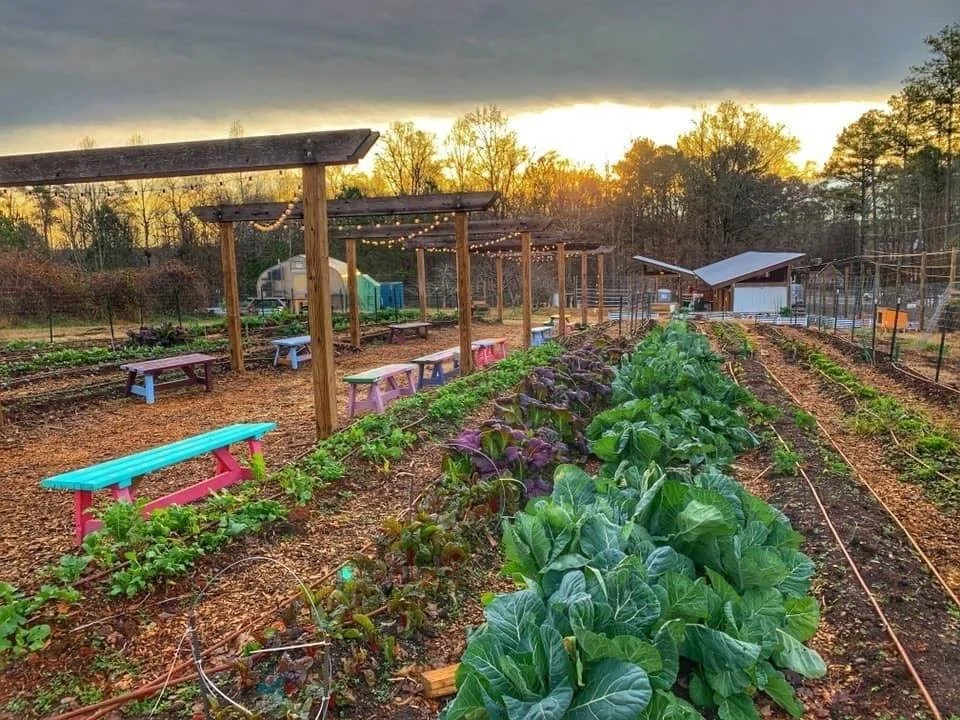 Alpharetta partners with Food Well Alliance to promote local agriculture - Appen Media