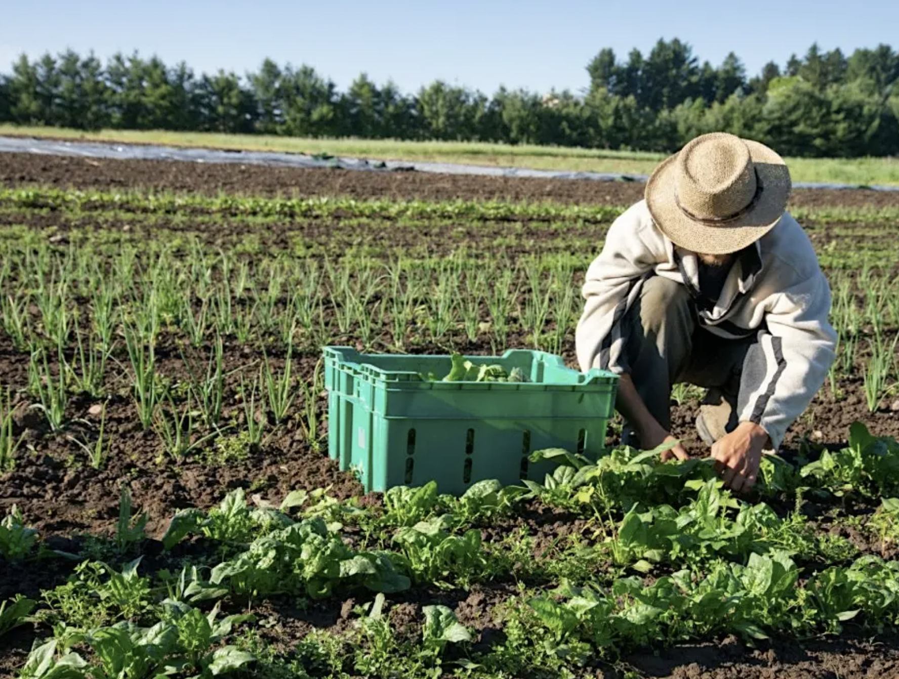 Organic Growers Seminar