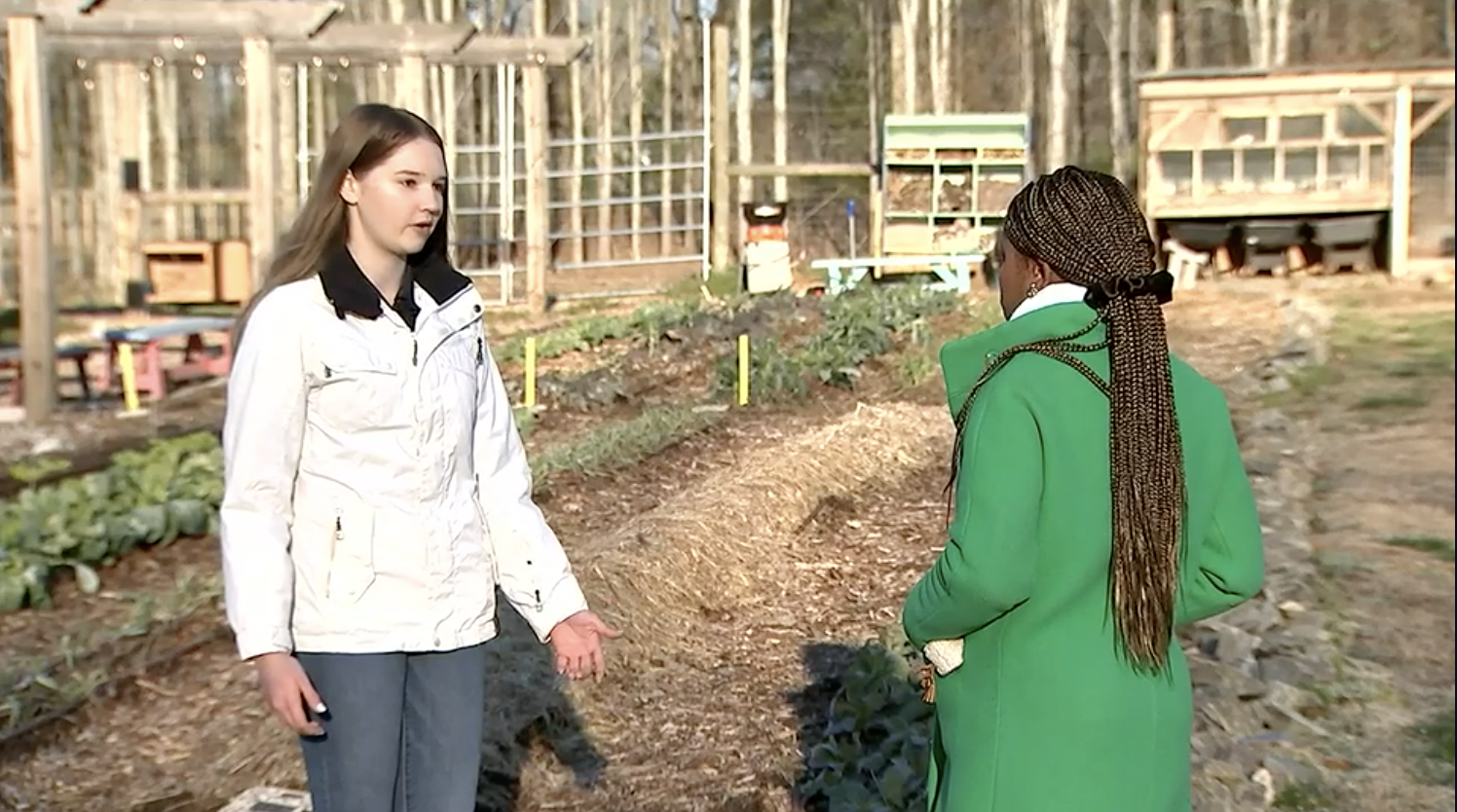 Alpharetta getting $75k grant for 'urban farming'- WSB-TV