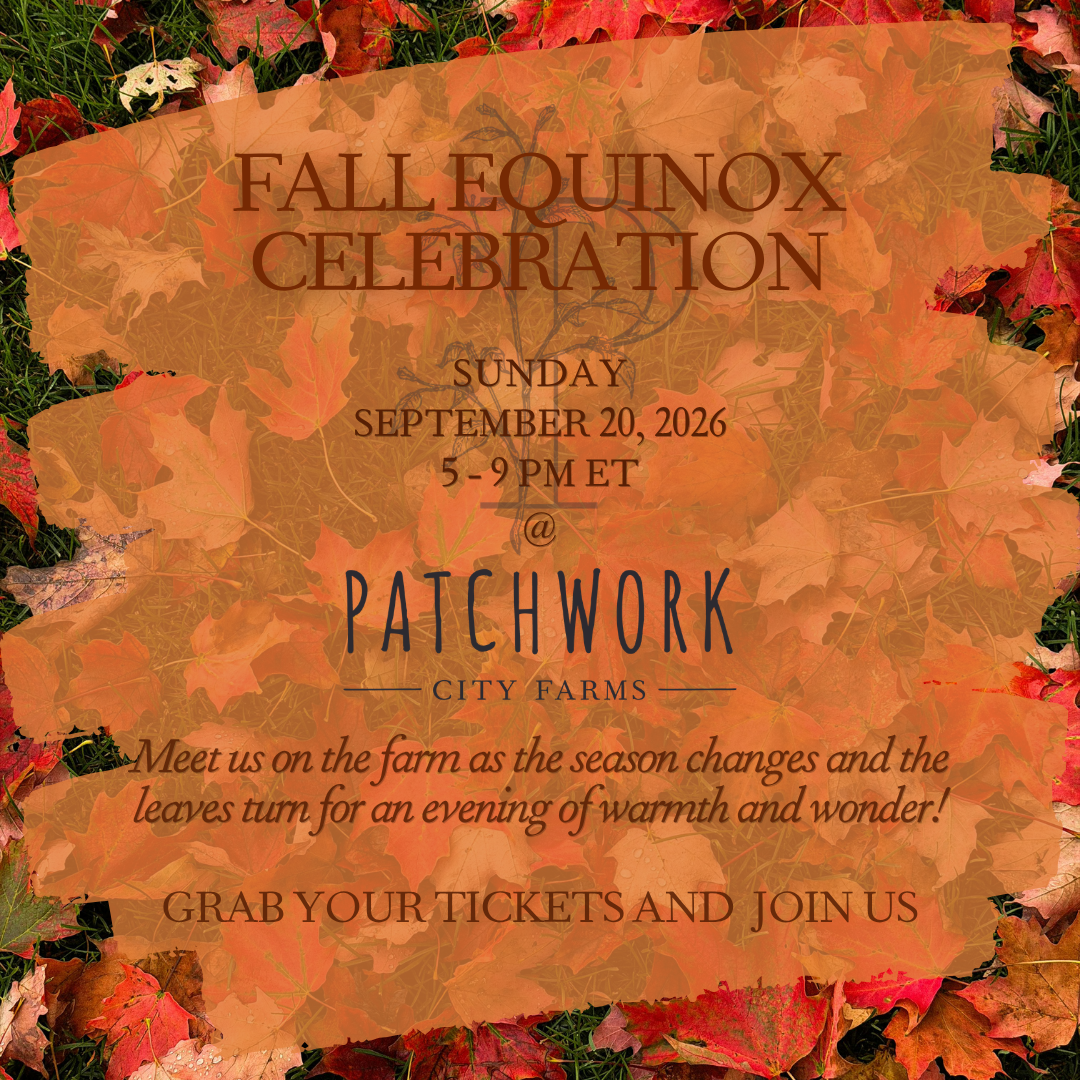 Fall Equinox Celebration