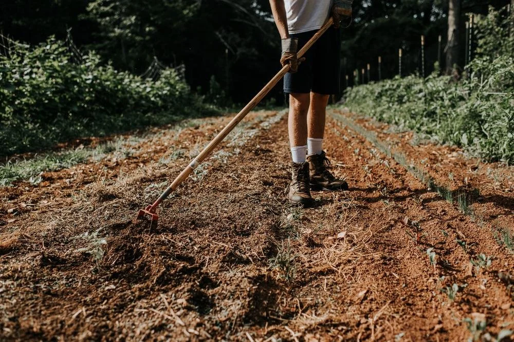 Martin Compost Farm Compost Delivery — Food Well Alliance