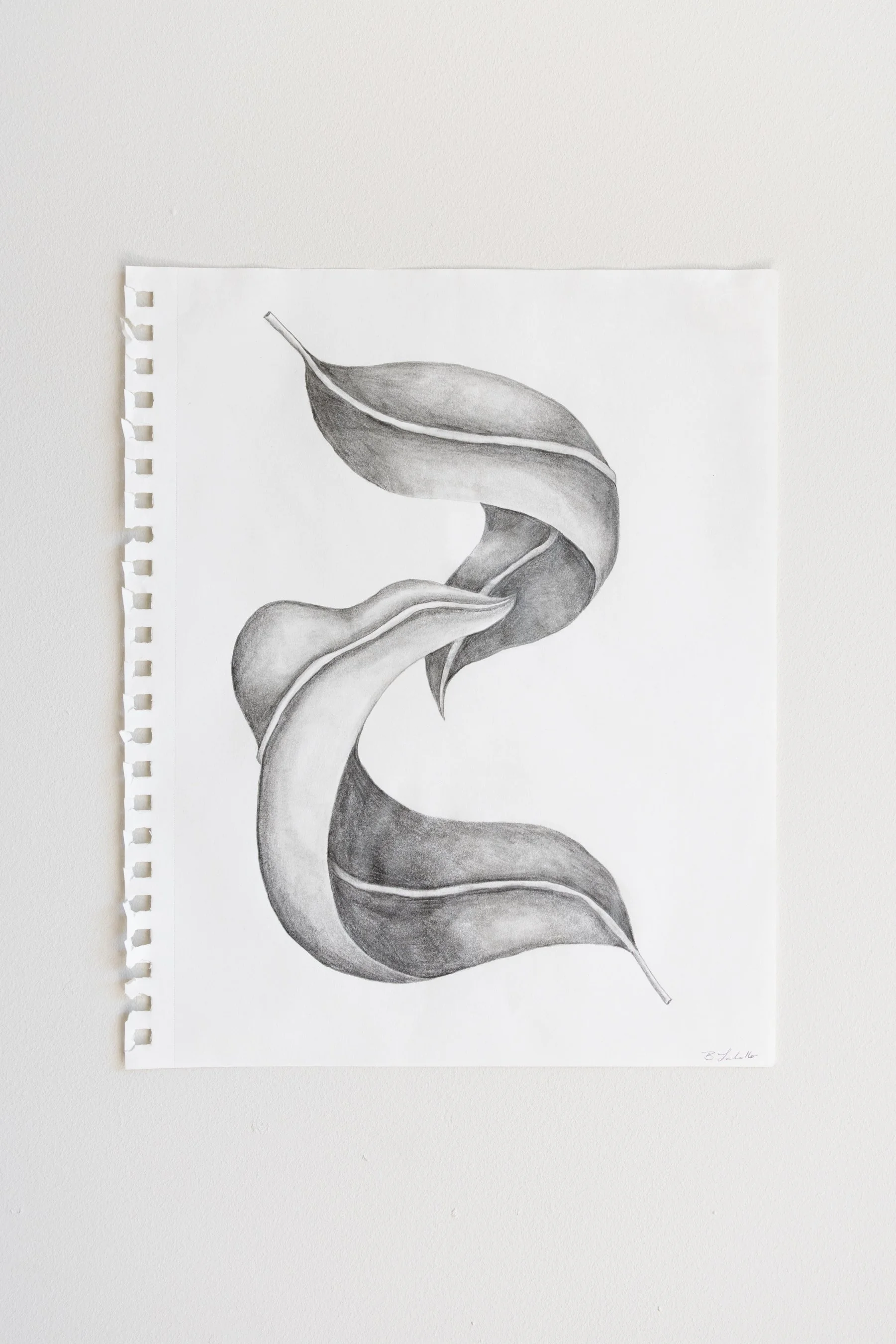  Barely Connecting, We Float (Drawing) , 2025
 
Woven thread on paper
 
 9.75" x 12" 