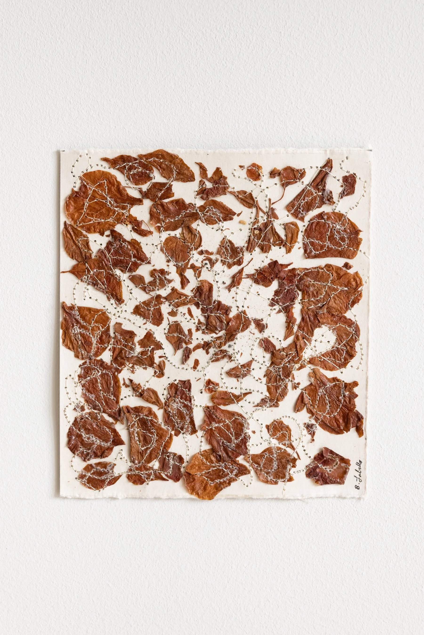  Camellia, No. 4 , 2025
 
Dried petals & thread on paper
 
 5.125" x 5.75" 