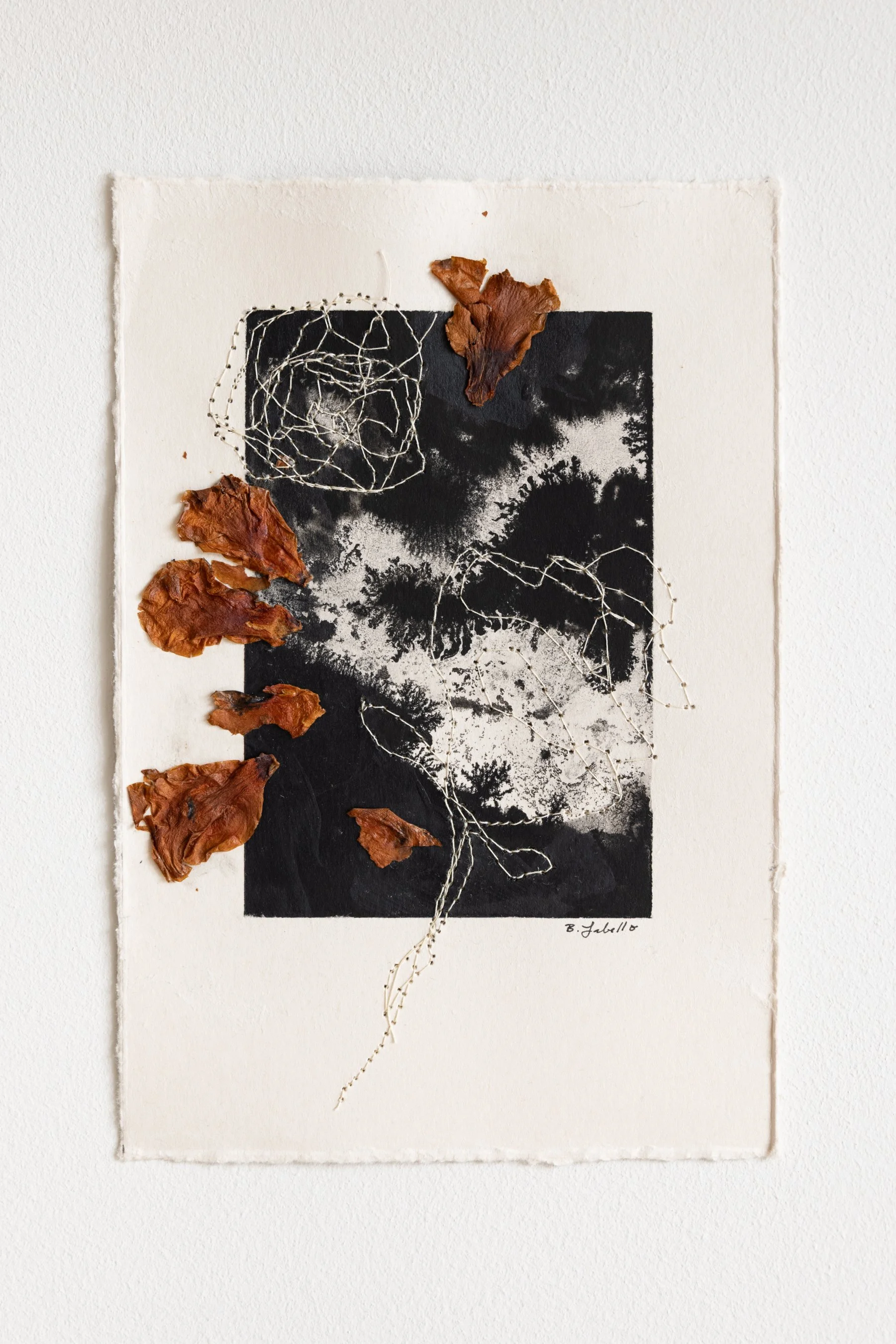  Camellia, No. 7 , 2025
 
Ink, dried petals, & thread on paper
 
 5.125" x 7.625" 