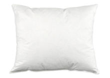 Pillow Insert Not Included