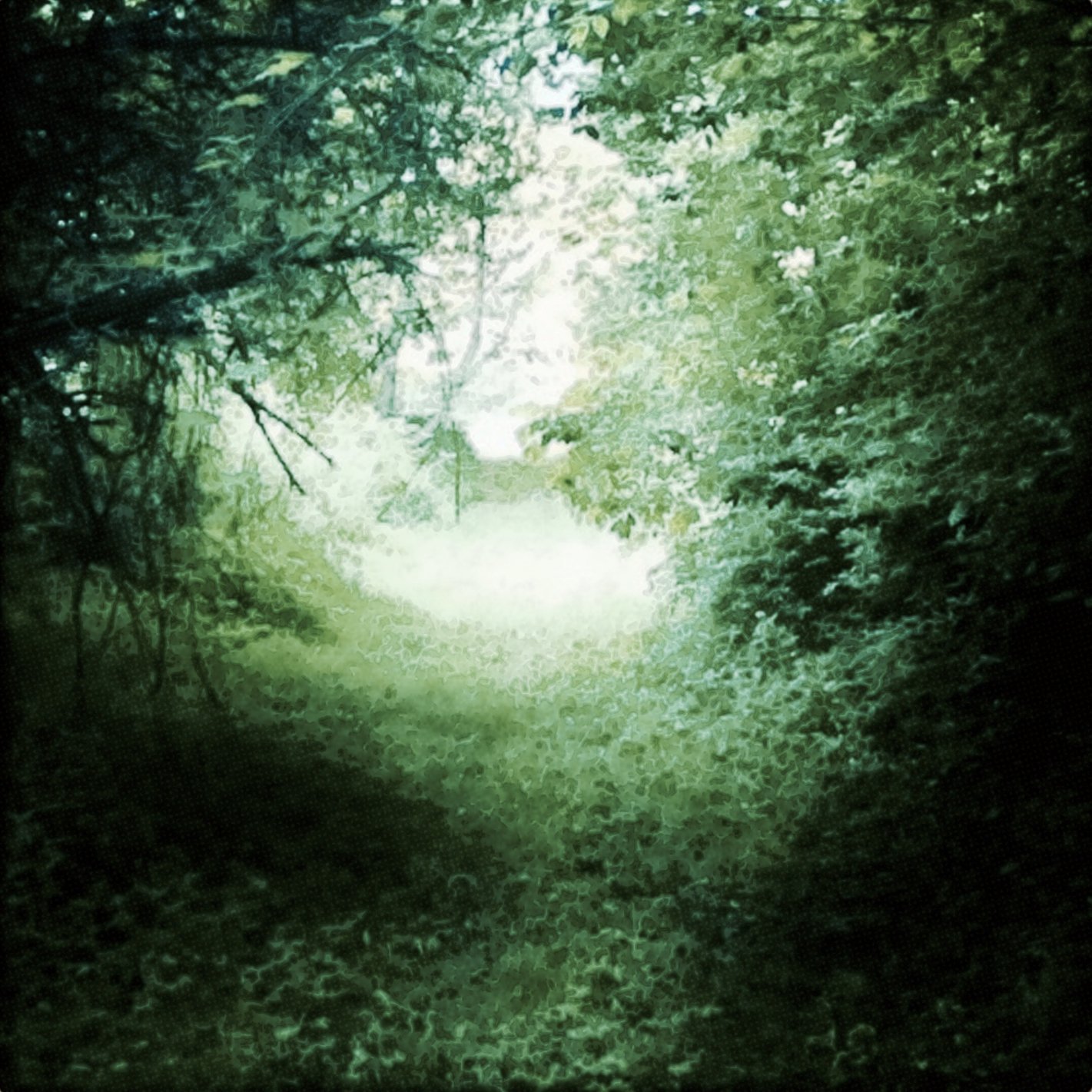 Time - no border (no text).jpeg