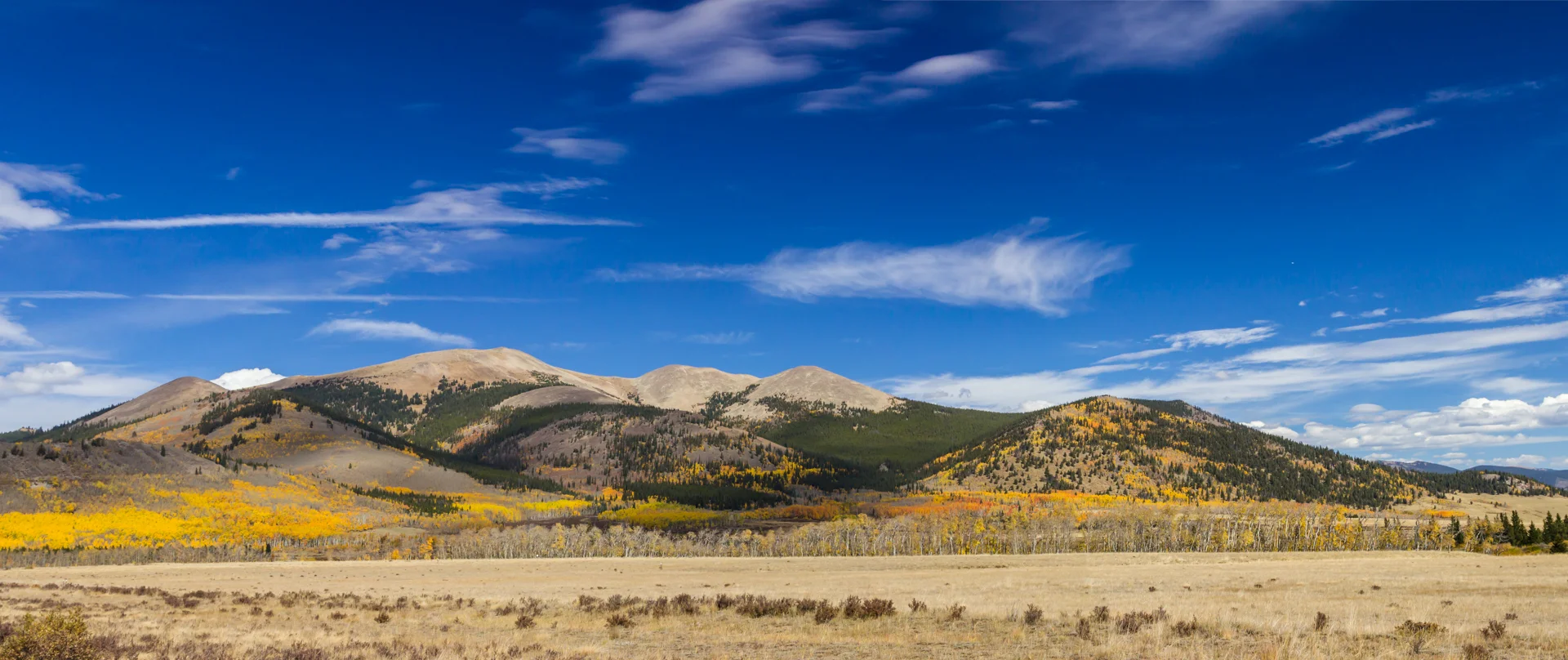 IMG_1284-Pano.jpg