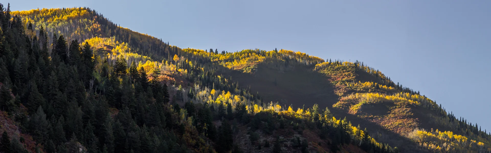 Bogen Flats Pano.jpg