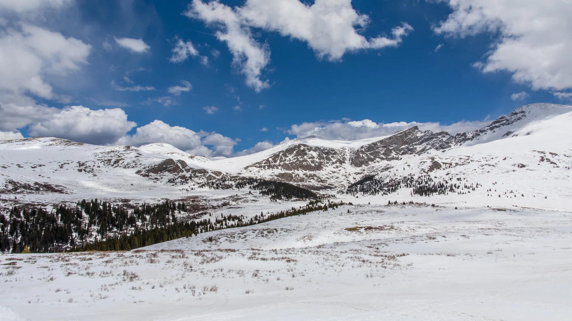 Mt. Bierstadt