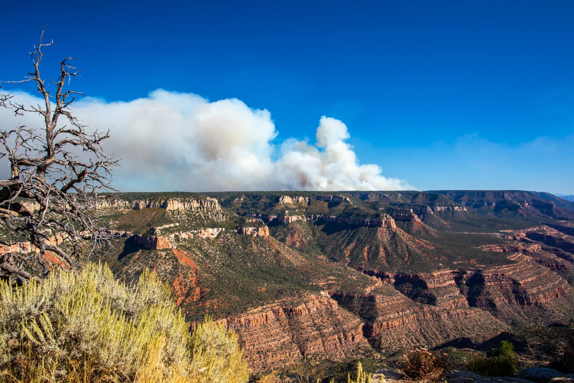10-03-2019 Ikes Fire - Kaibab National Forest