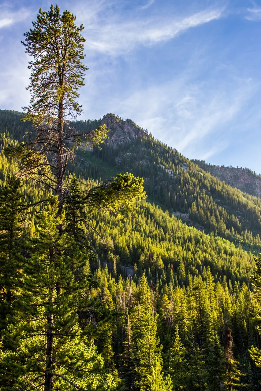 Colorado July 2015-8.jpg