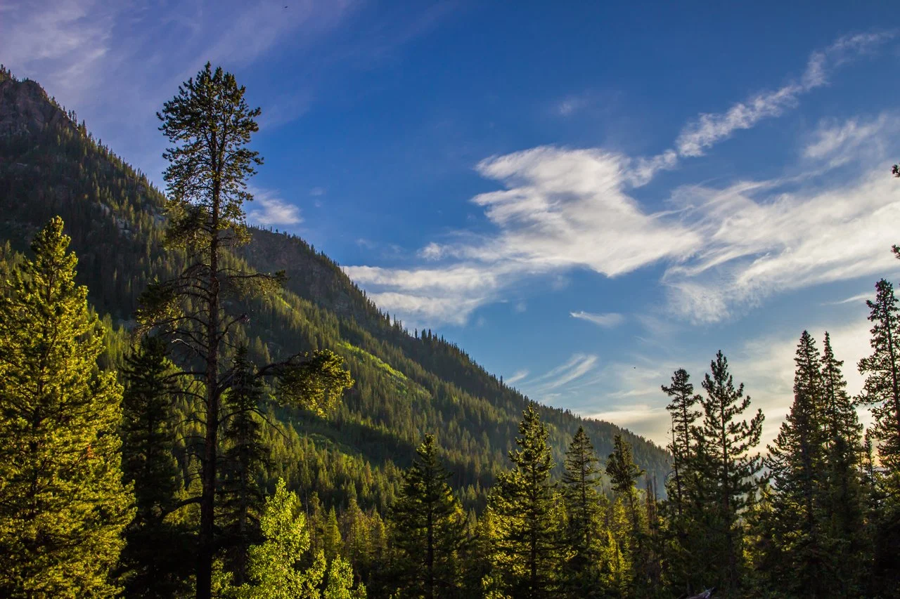 Colorado July 2015-11.jpg