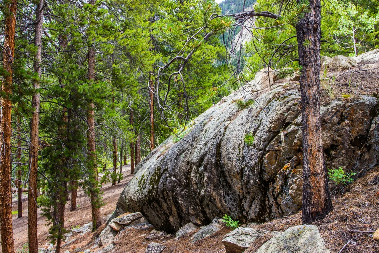 Colorado July 2015-27.jpg