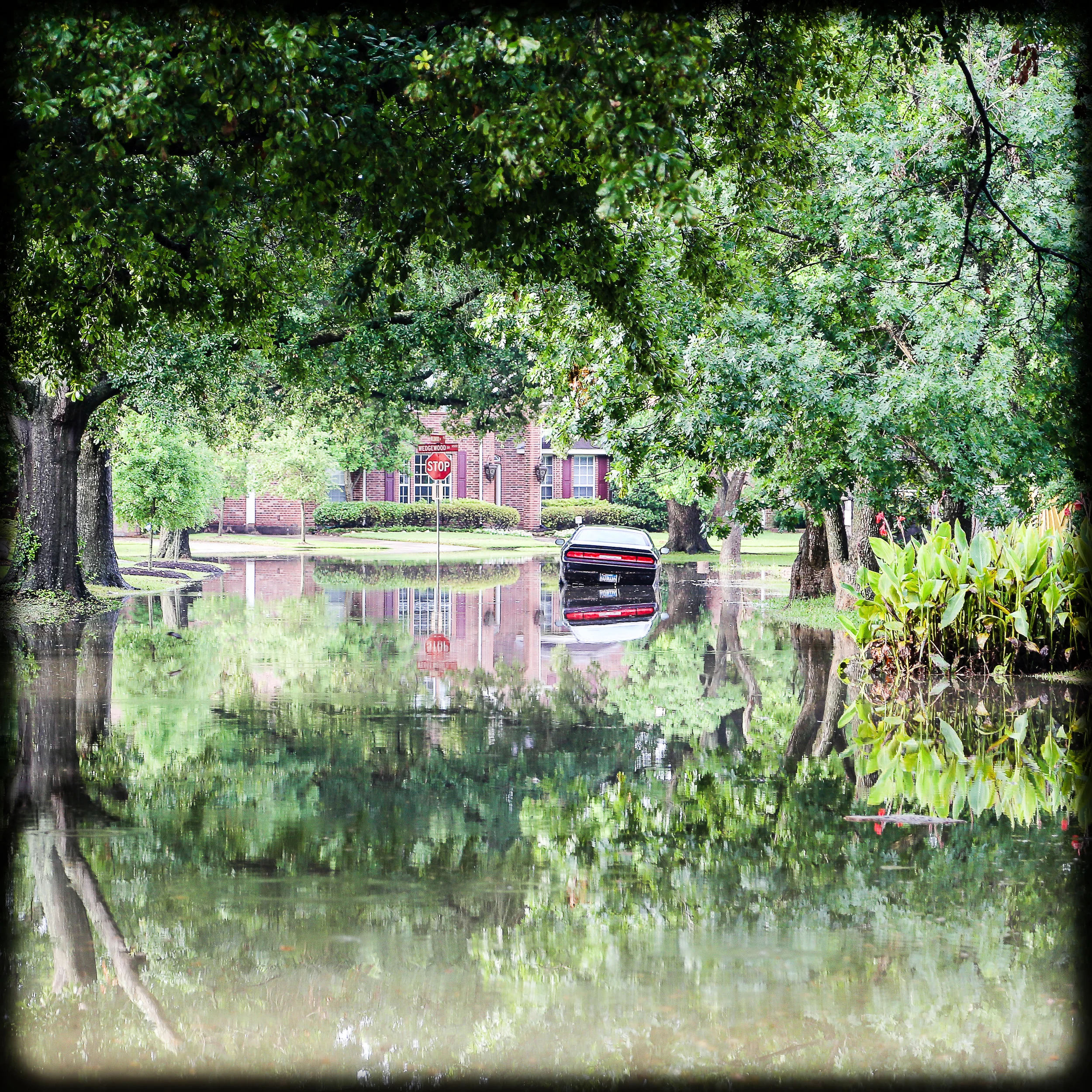 Upside down 1.jpg