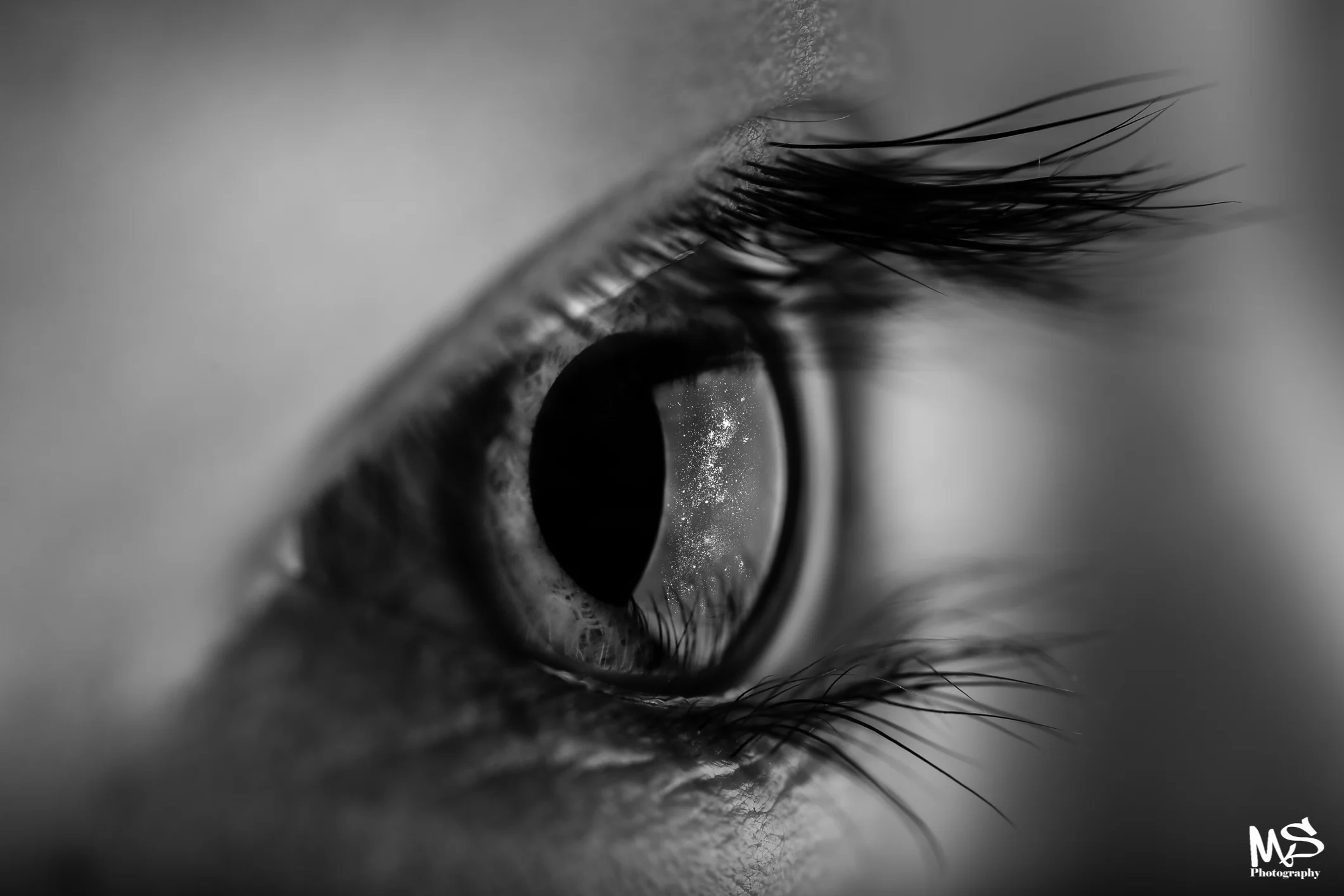 IMG_9655 stars in the eye-2-2.jpg