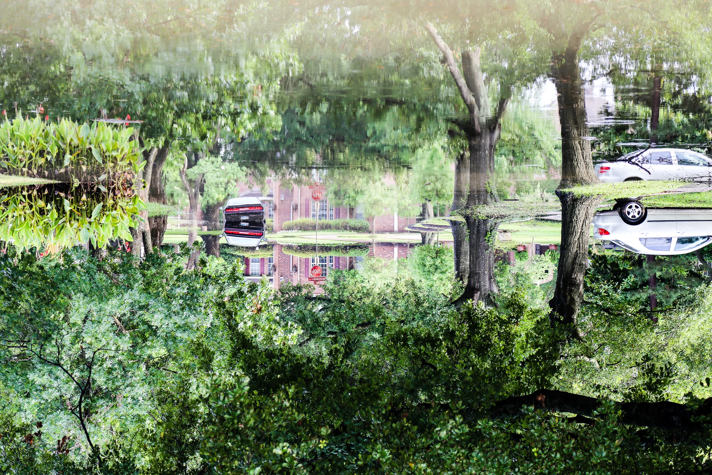 Upside down 1-2.jpg