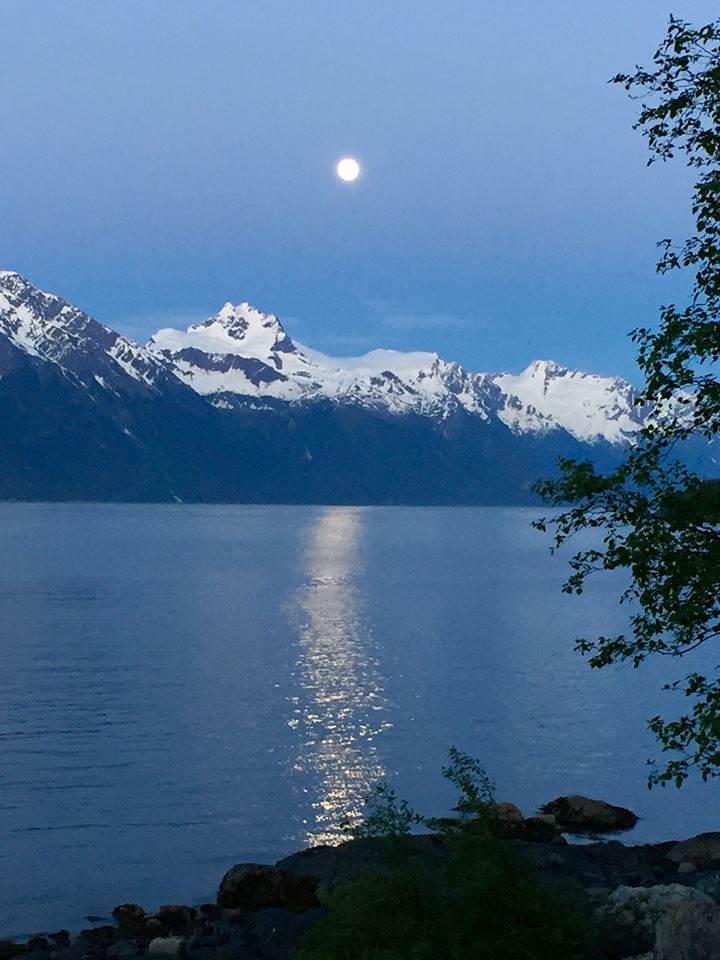 Moonlight on the Fjord at Viking Cove.jpg