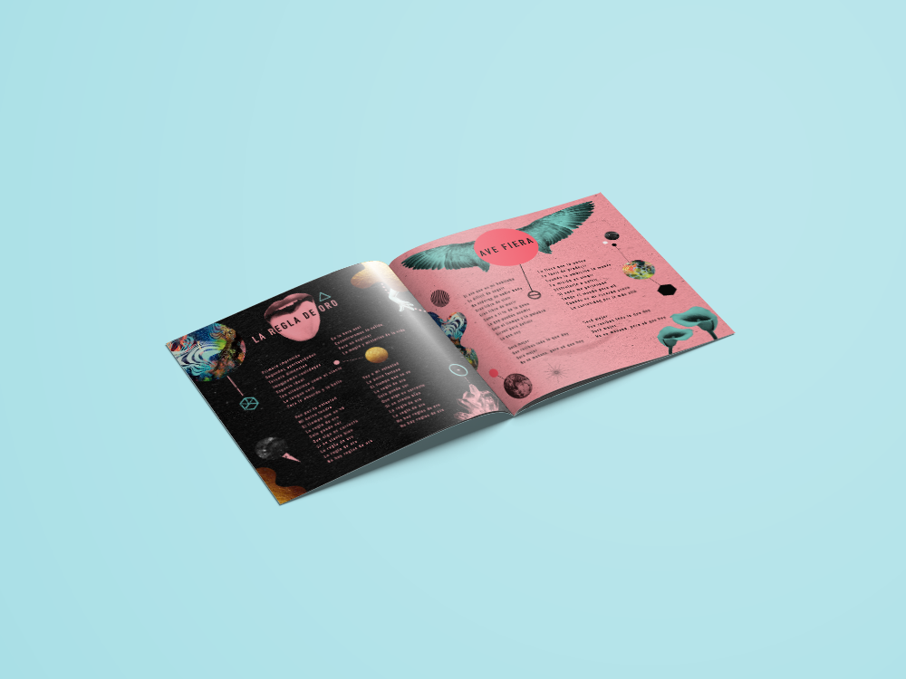 LUCIDOS BOOKLET 1SIDE.png