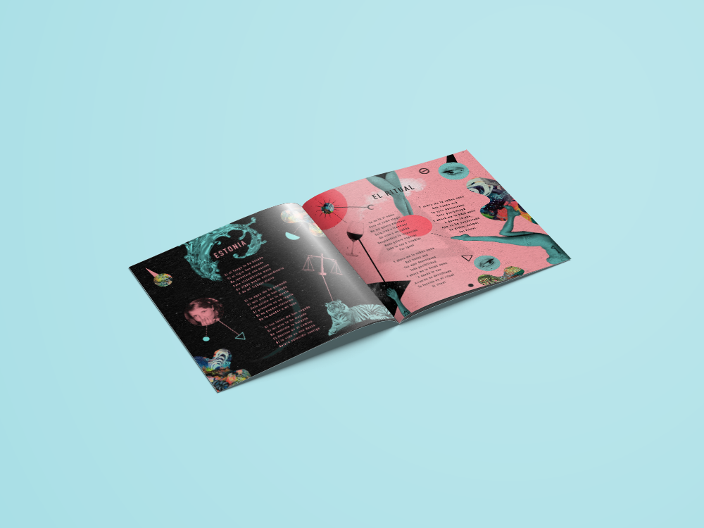LUCIDOS BOOKLET 2side.png