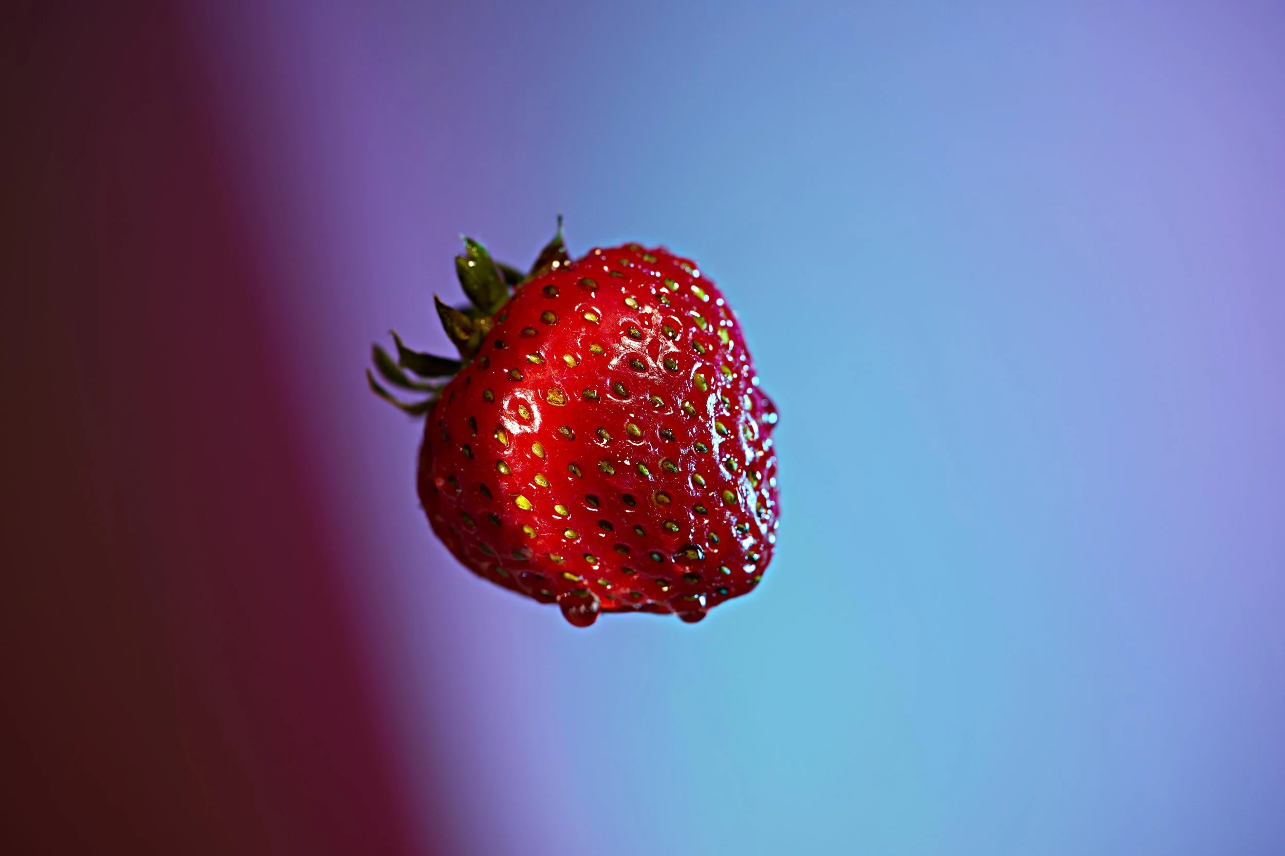 250917-test_0759_site.jpg