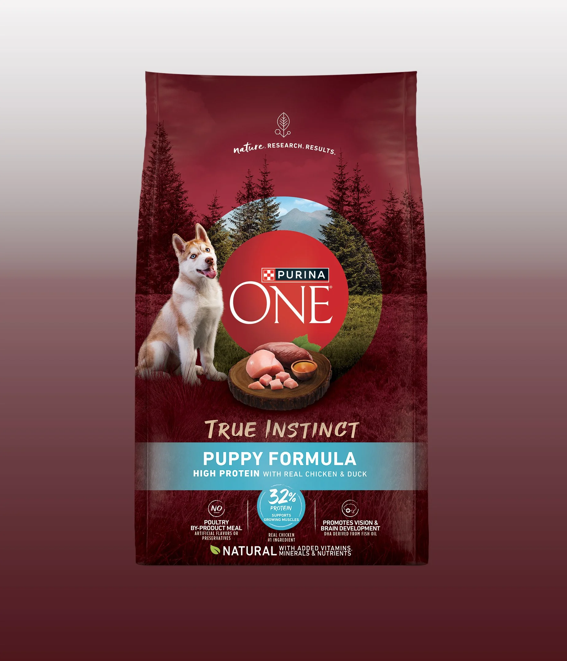 TI_HP_ChknDuck_Pup_SHAKE_24_F copy.jpg