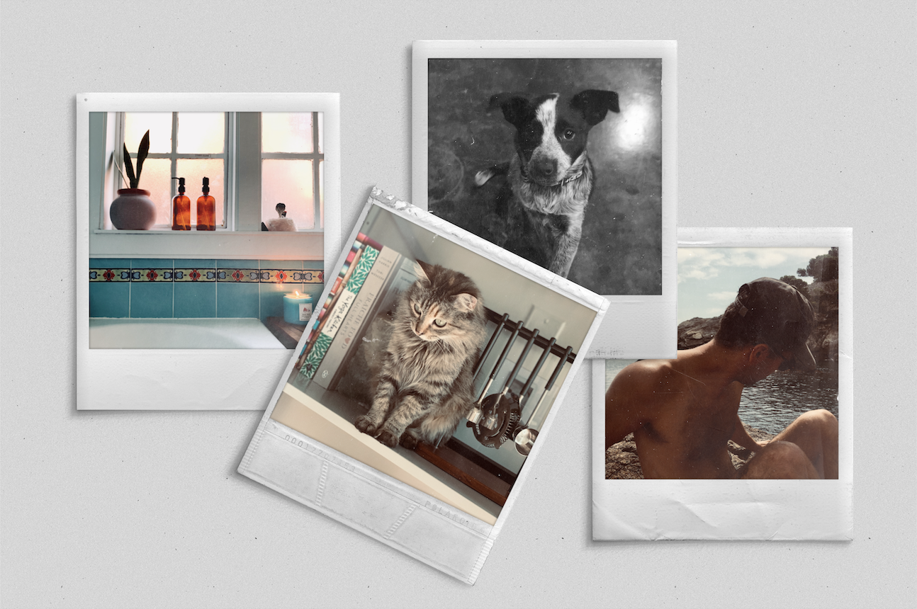 Screen Shot 2021-08-18 at 10.43.10 PM.png