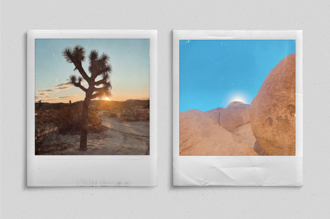 Screen Shot 2021-08-18 at 10.43.21 PM.png