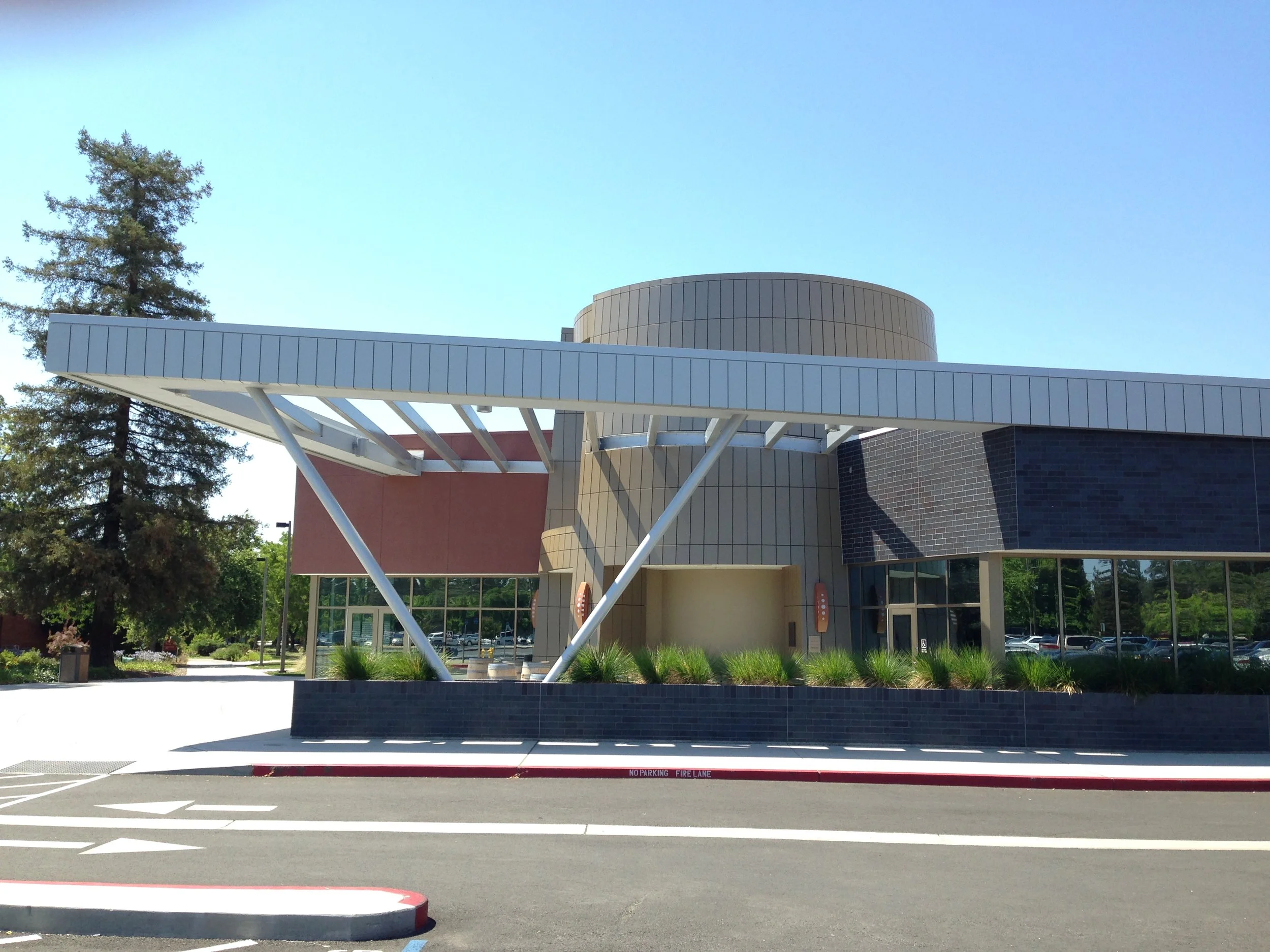 American River College Rate My Professor 62