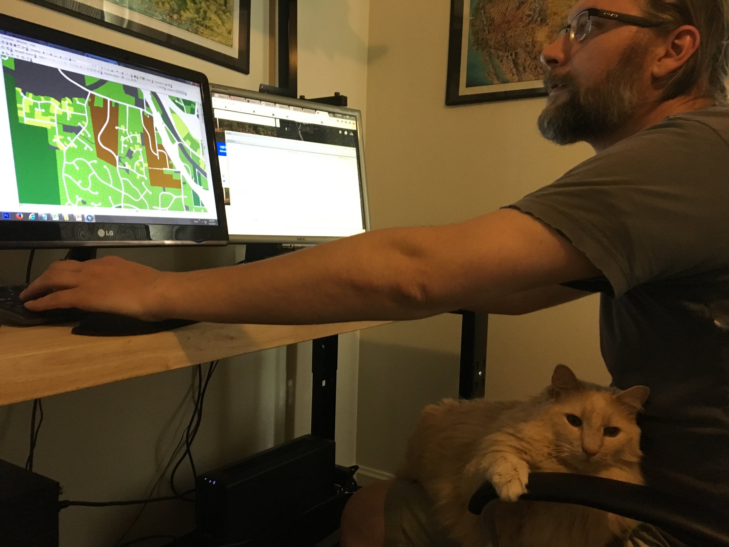 Cats rule the internet AND can do GIS