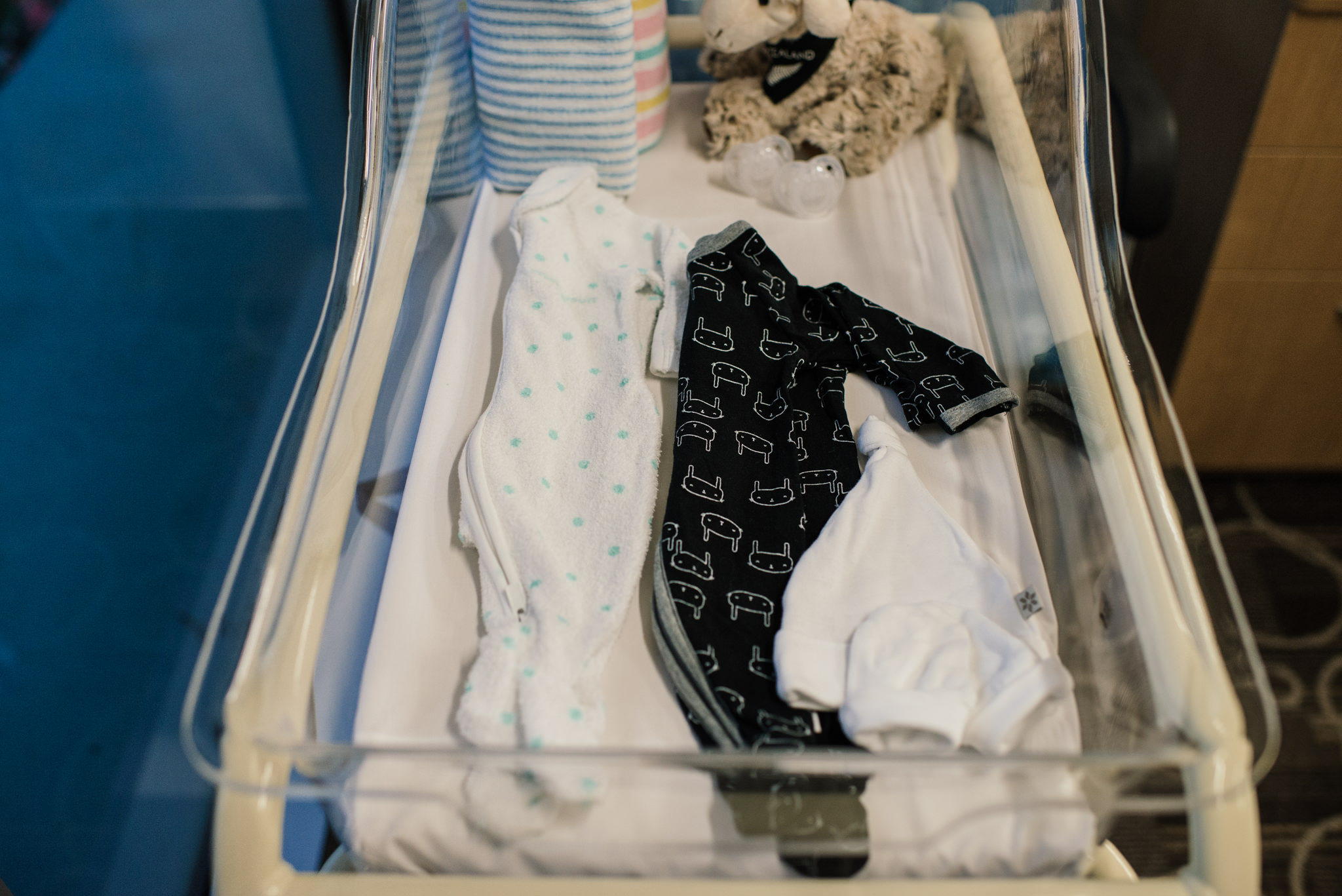 Aspen c-section-3.jpg