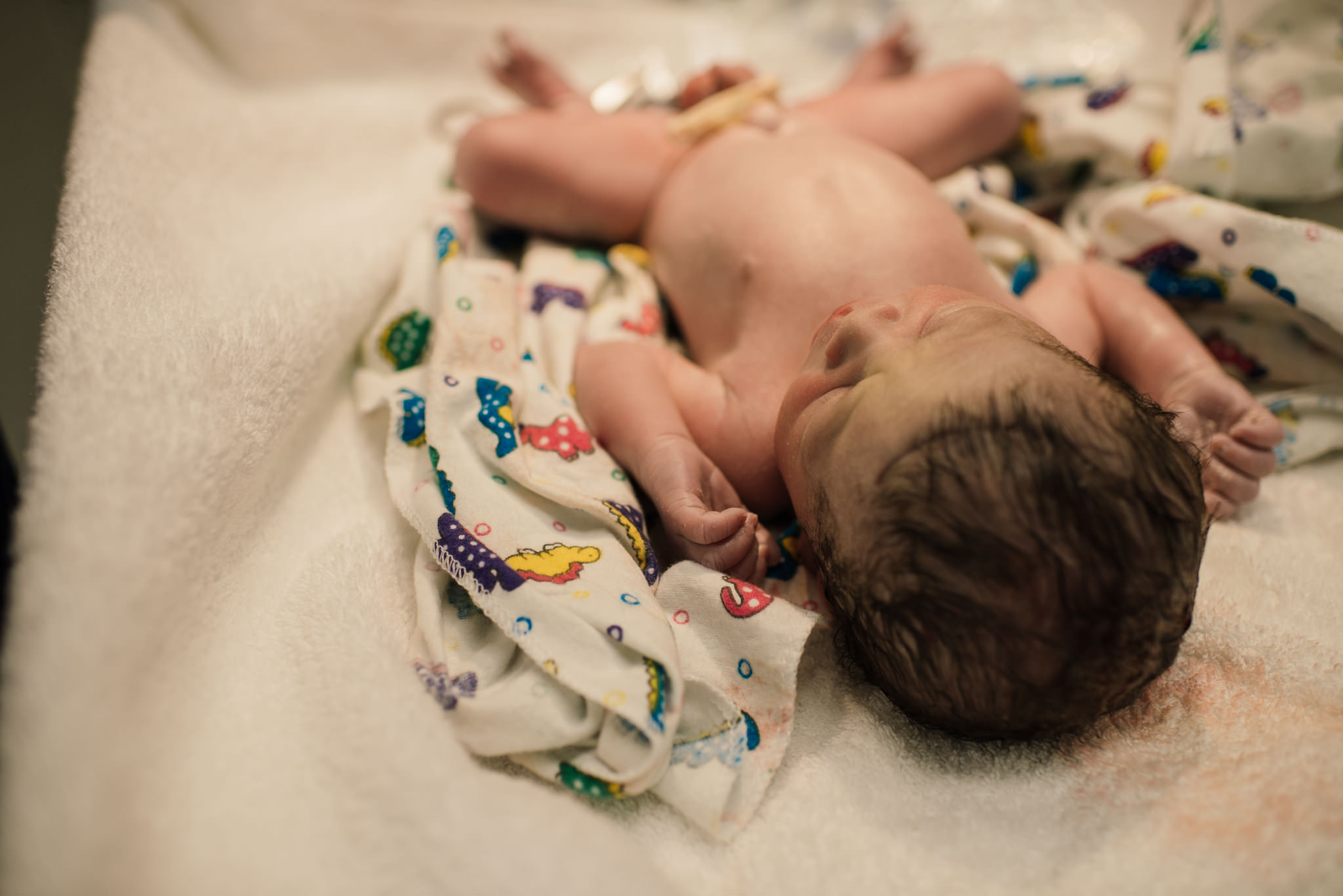 Aspen c-section-77.jpg