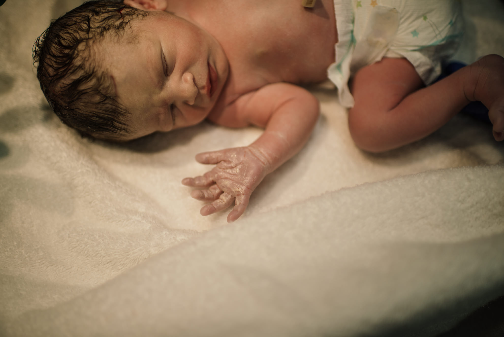 Aspen c-section-86.jpg