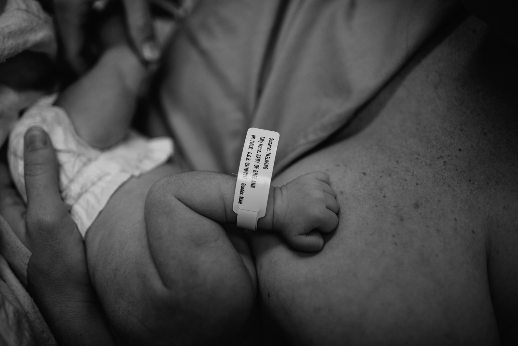 Aspen c-section-121.jpg