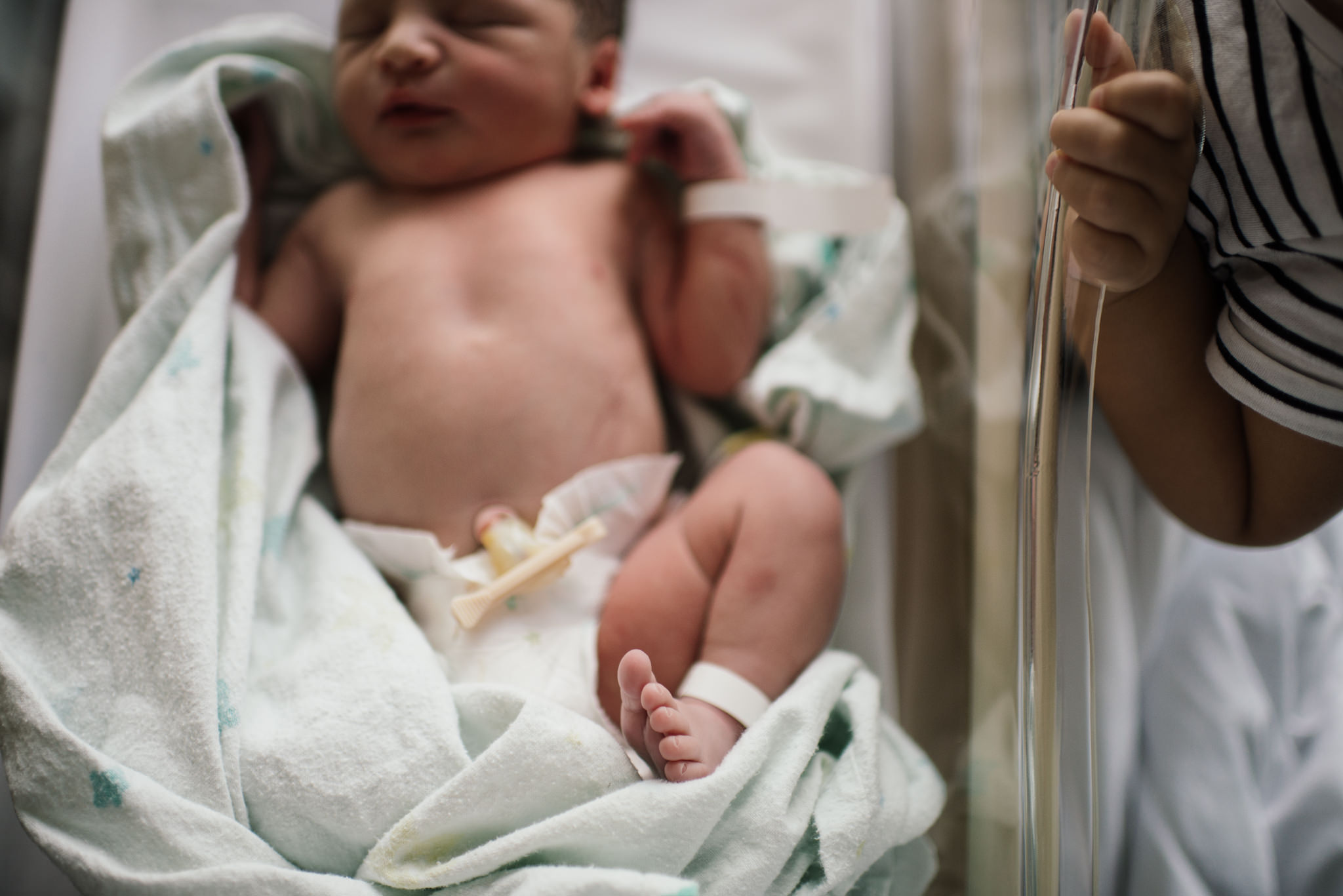 Aspen c-section-160.jpg