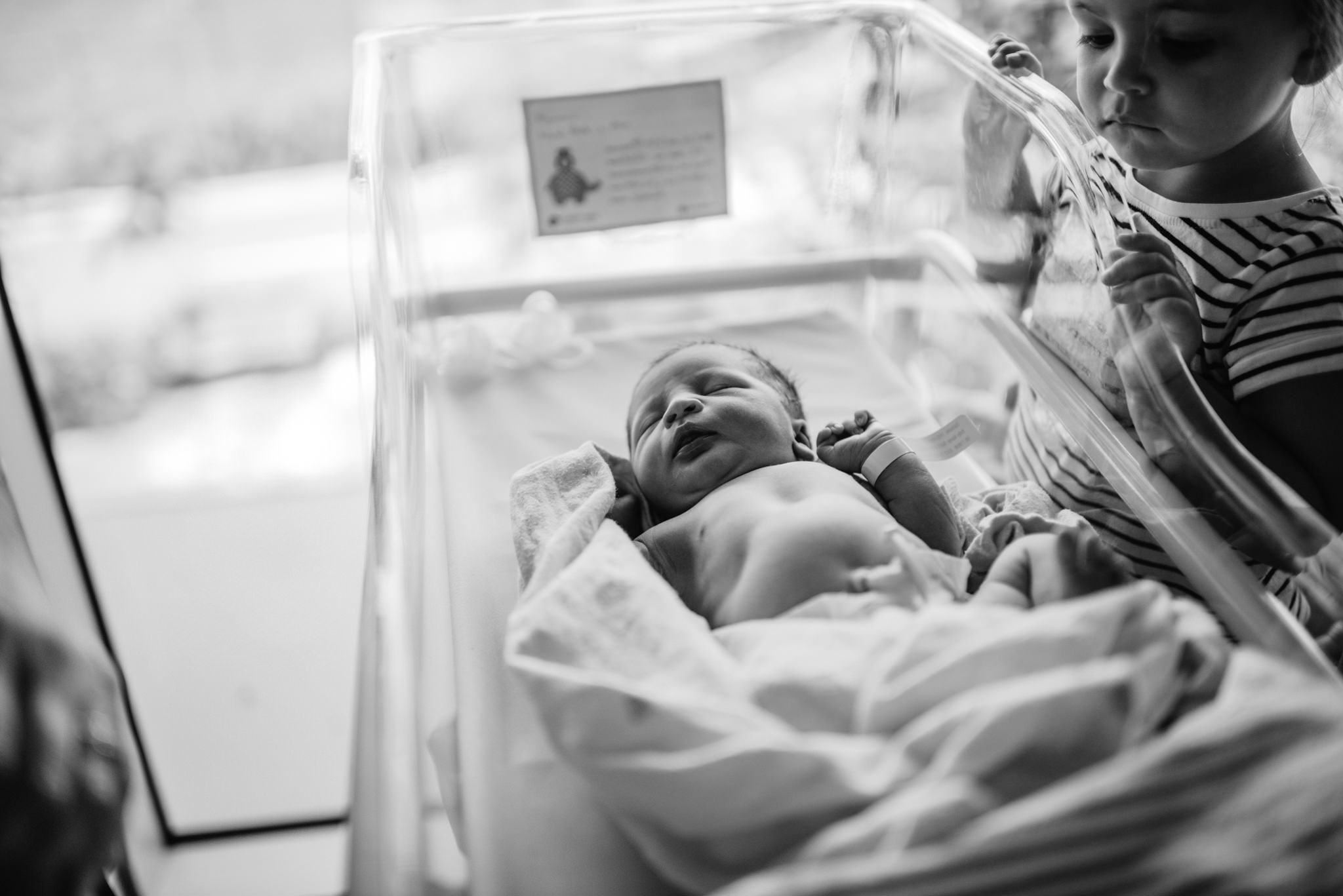 Aspen c-section-168.jpg