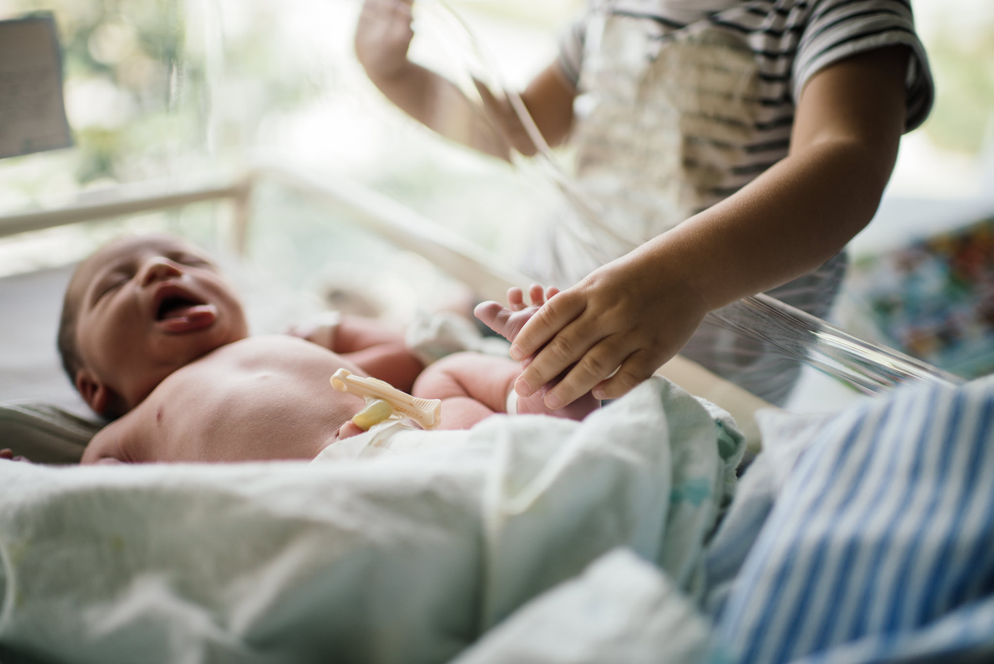 Aspen c-section-170.jpg
