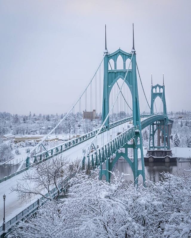 Winter of 2017. We really didn't have much if a winter in Portland this year and I was reminiscing about when the city shut down for a week. It was fun walking a couple miles in the snow with Murphy. ❤️❄️